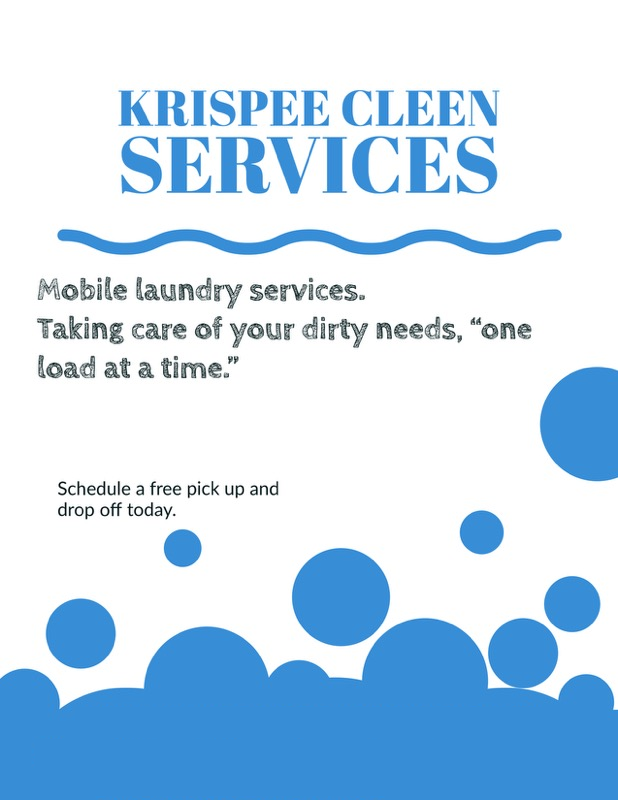 Professional cleaner